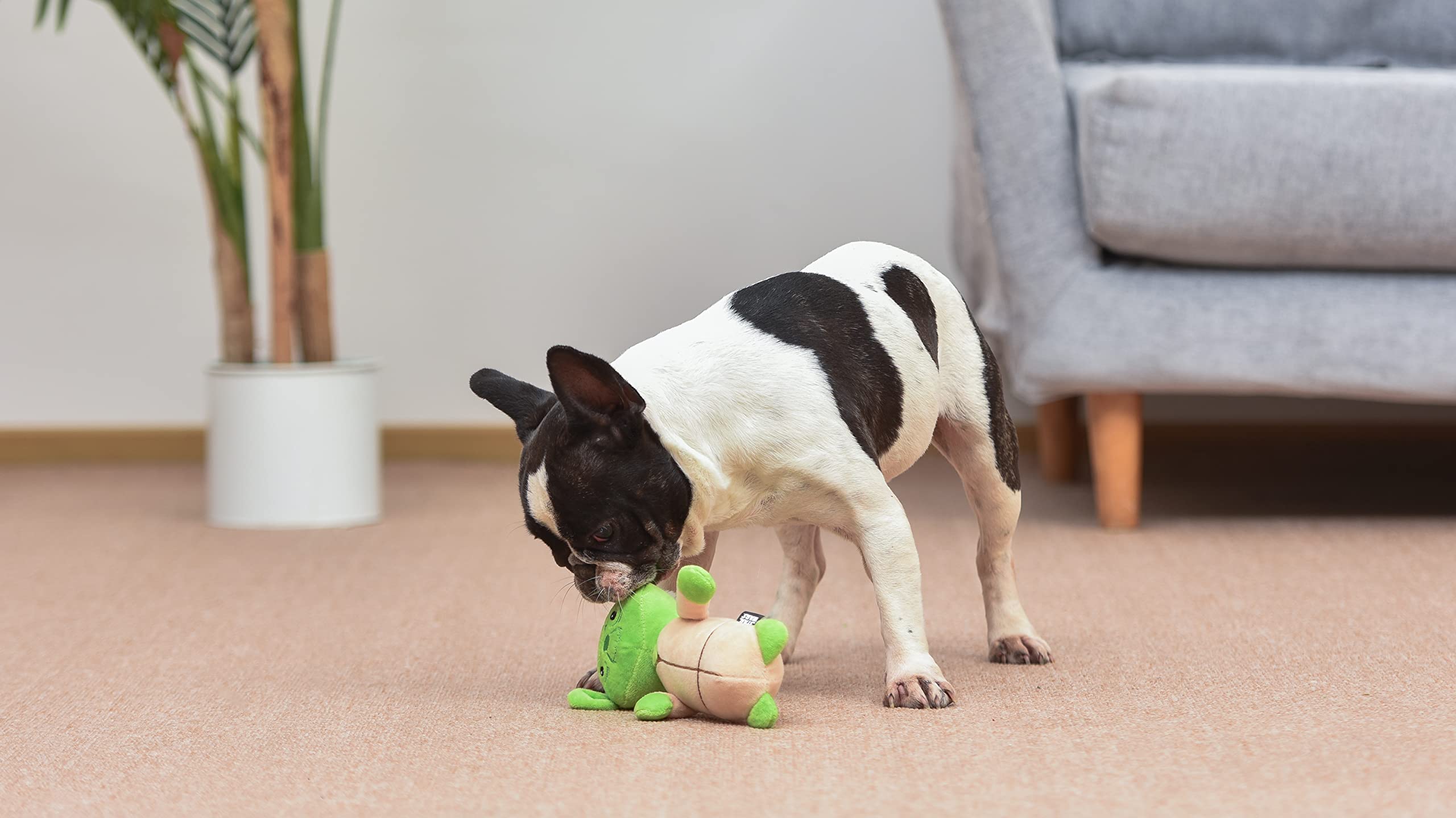 Star Wars YODA Plush Dog Toy with Squeaker - Chew Resistant Bobo Style Pet Toy for Small & Large Dogs | Perfect for Playtime, Training & Cuddling | Durable Squeaky Dog Chew Toy (FF19184)