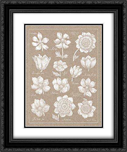 Wild Apple Portfolio 15x17 Black Ornate Framed Double Matted Museum Art Print - Anemone Plate I - Elegant Wall Decor for Living Room, Bedroom & Office