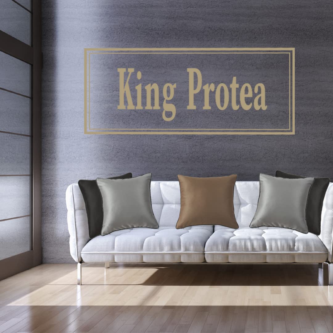 King Protea Silver Grey Decorative Throw Pillow Covers - Soft Heavy Satin Fabric with Black & White Piping - 18x18 Inch (45x45cm) Square Cushion Cases for Sofa, Couch, Bed & Chair - Pack of 2 - Perfect for Living Room Decor, Bedroom Accents & Home Styling