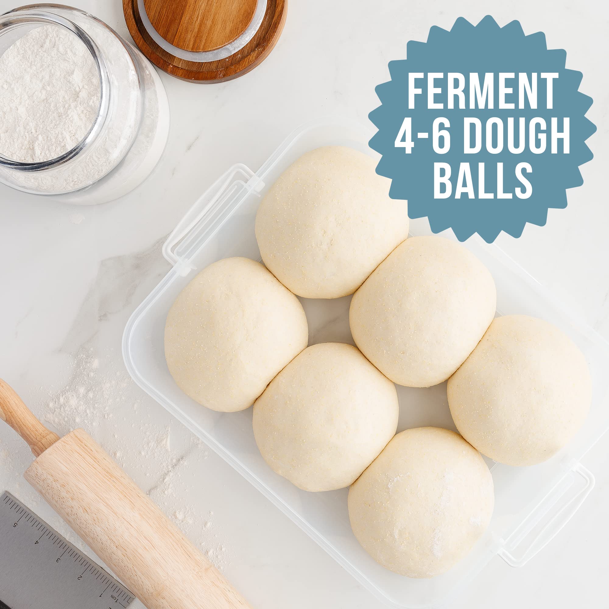 **Professional 14 x 11-Inch Pizza Dough Proofing Box – Chef Pomodoro Dough Container for 4-6 Balls, Household Pizza Dough Tray with Carry Handle (Blue) – Perfect for Home Baking, Restaurants & Pizza Parties**
