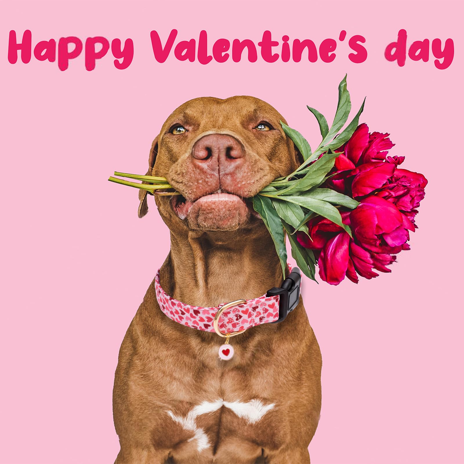 Valentine's Day Dog Collar - Cute Heart Print Adjustable Collar for Small Medium Large Dogs - Soft Pink Cotton Pet Collar for Puppies - Perfect for Valentine's Gifts & Daily Walks