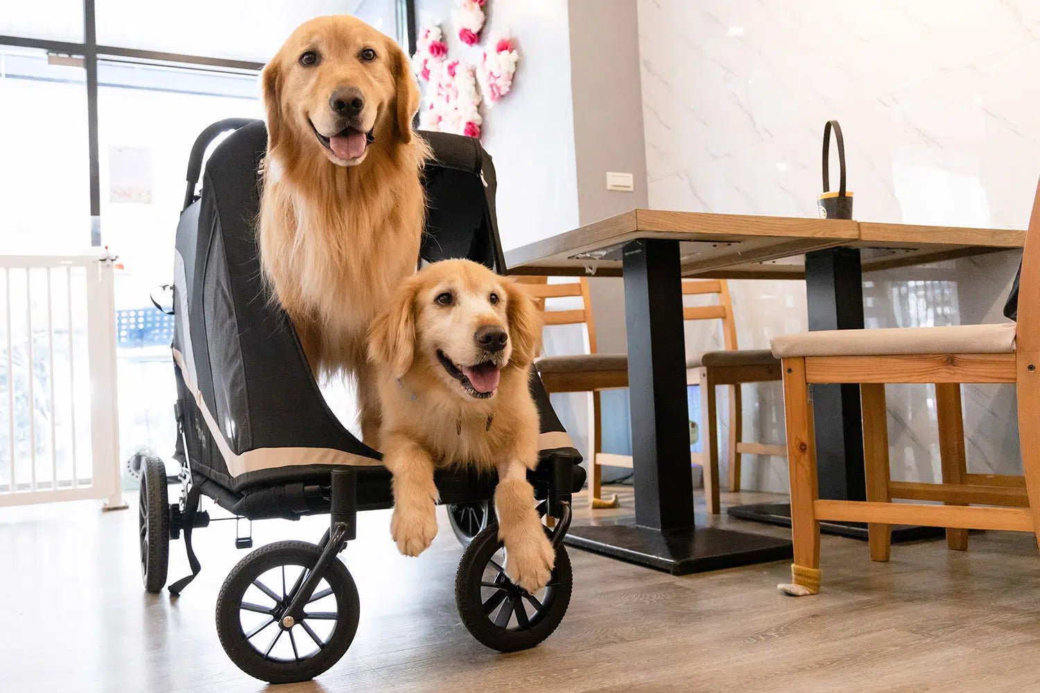 Grand Cruiser Large Dog Stroller - 4 Wheel Foldable Pet Pram for Big Breeds, Senior & Disabled Dogs | Perfect for Outdoor Walks, Vet Visits & Recovery