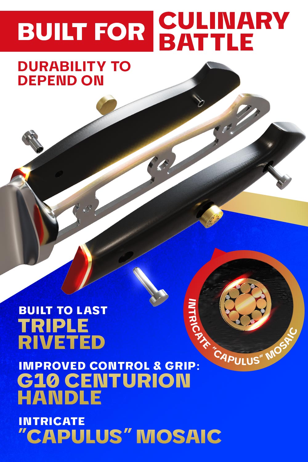 Premium Dalstrong Butcher & Breaking Knife 10