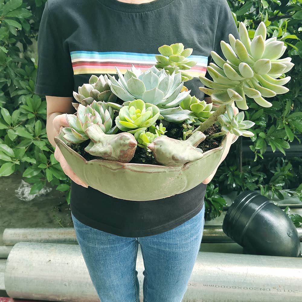 10 Inch Ceramic Planter Pot - Green Indoor Outdoor Flower Plant Pot for Succulents, Herbs, Flowers | Perfect for Home Decor, Garden, Balcony, Office & Patio
