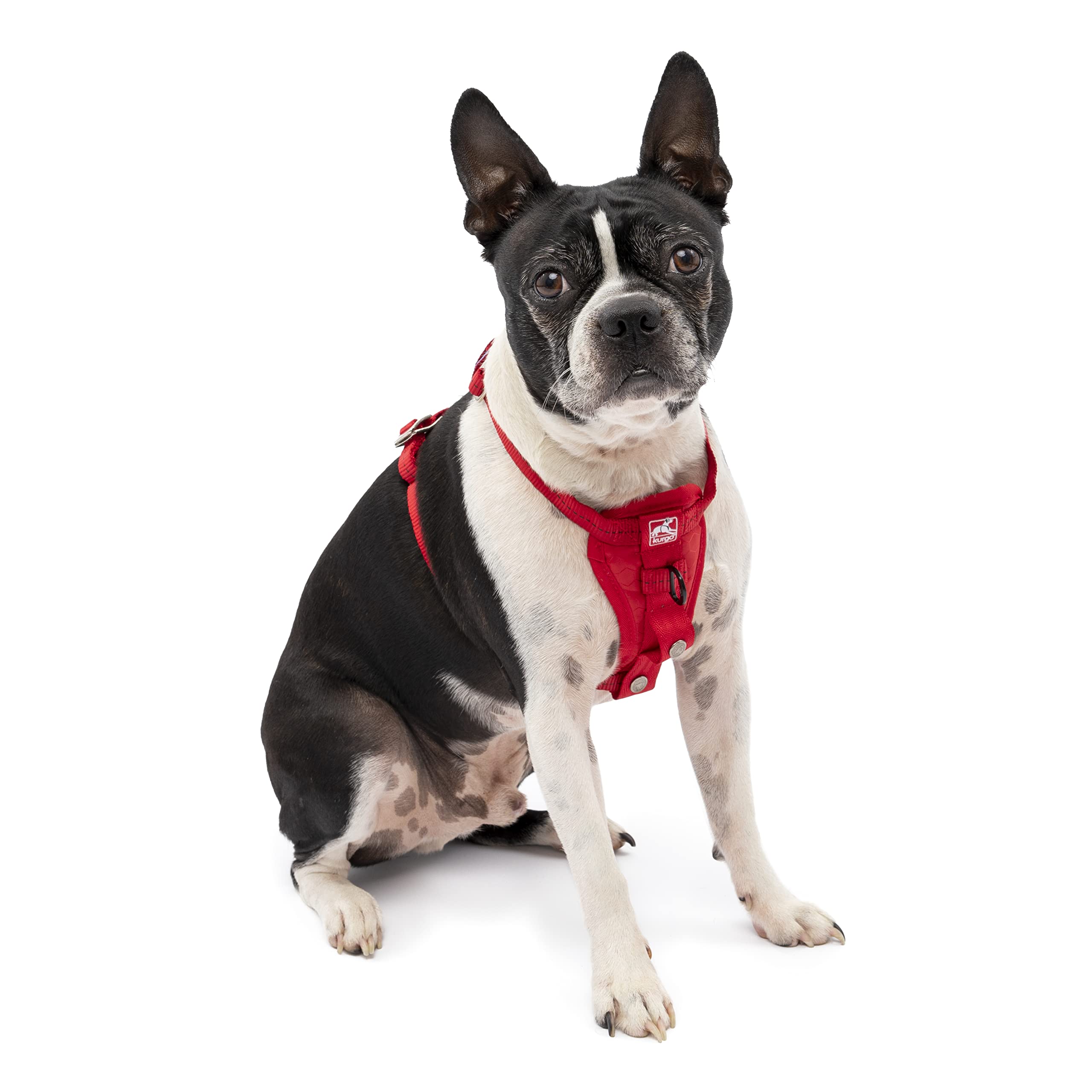 Kurgo Tru-Fit Enhanced Strength Dog Car Harness - Crash Test Certified Pet Safety Seat Belt for Small Dogs (Red) - Perfect for Road Trips & Safe Car Travel