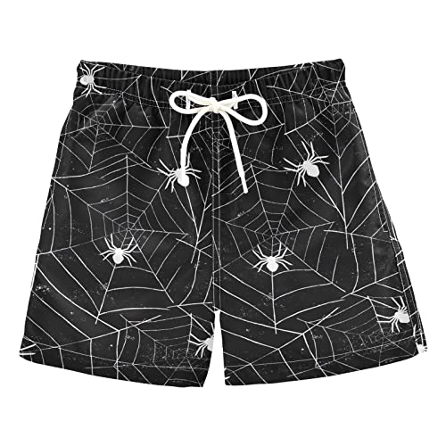 Spider Web