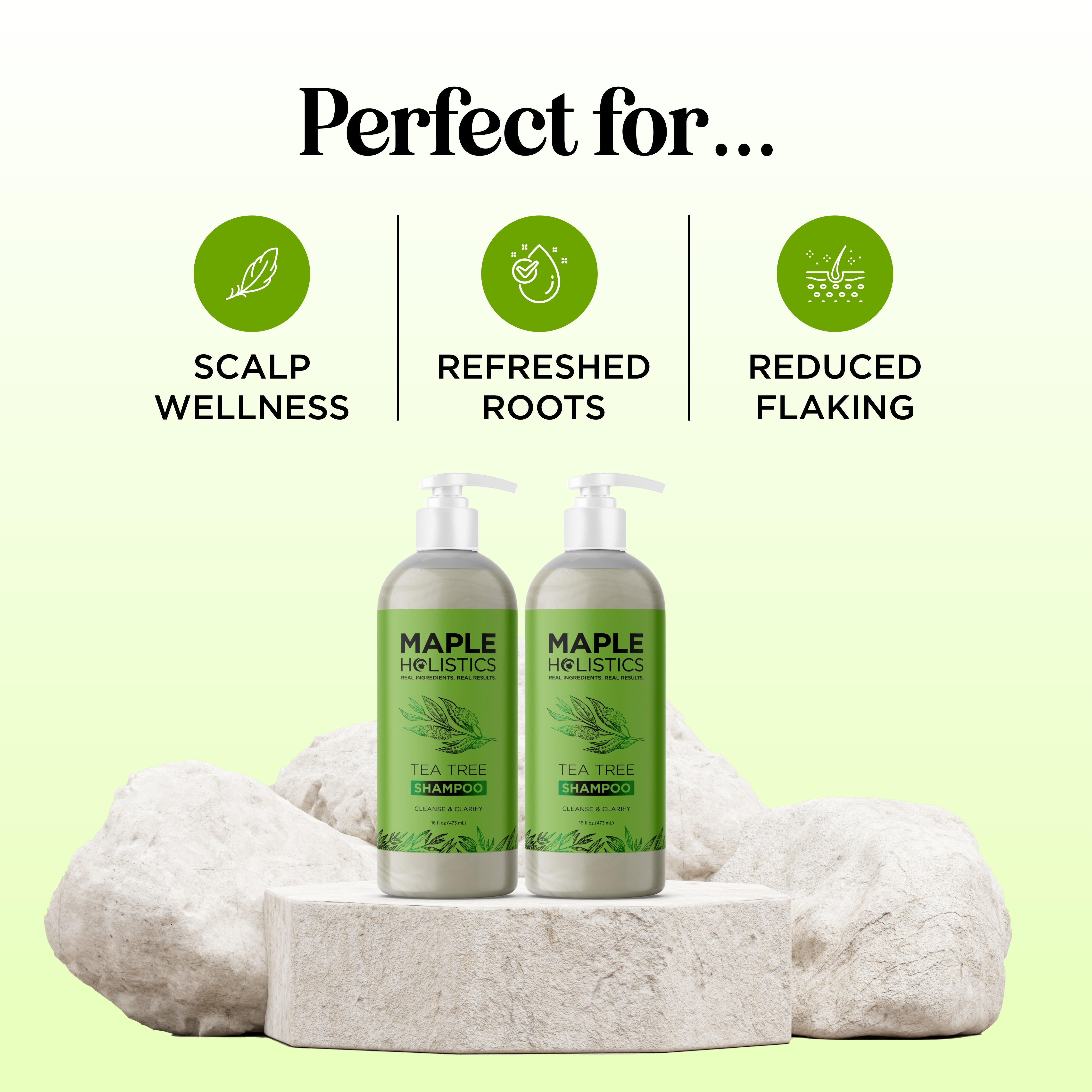 Best Tea Tree Shampoo for Dandruff & Scalp Care - Natural Anti-Itch & Moisturizing Hair Treatment - Perfect for Dry Scalp & Oily Hair at Home or Salon Use