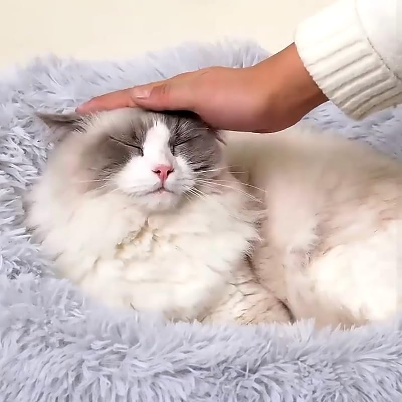 Soft Round Donut Pet Bed for Small Dogs & Cats Under 3kg - Cozy Cushion with Removable Blanket for Puppies & Kittens - Perfect for Bedroom, Living Room & Pet Travel Carrier