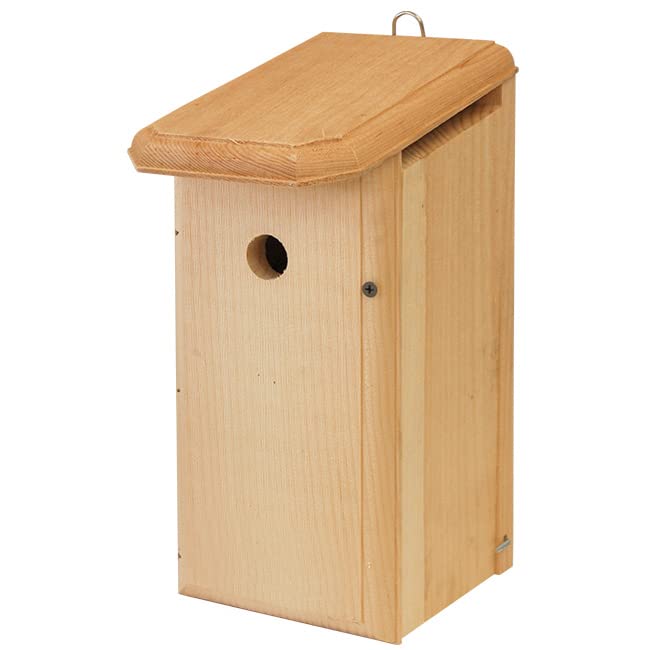 Nuthatch Bird House - Natural Wooden Bird Habitat for Backyard & Garden - Attracts Wild Birds for Birdwatching & Nature Enjoyment