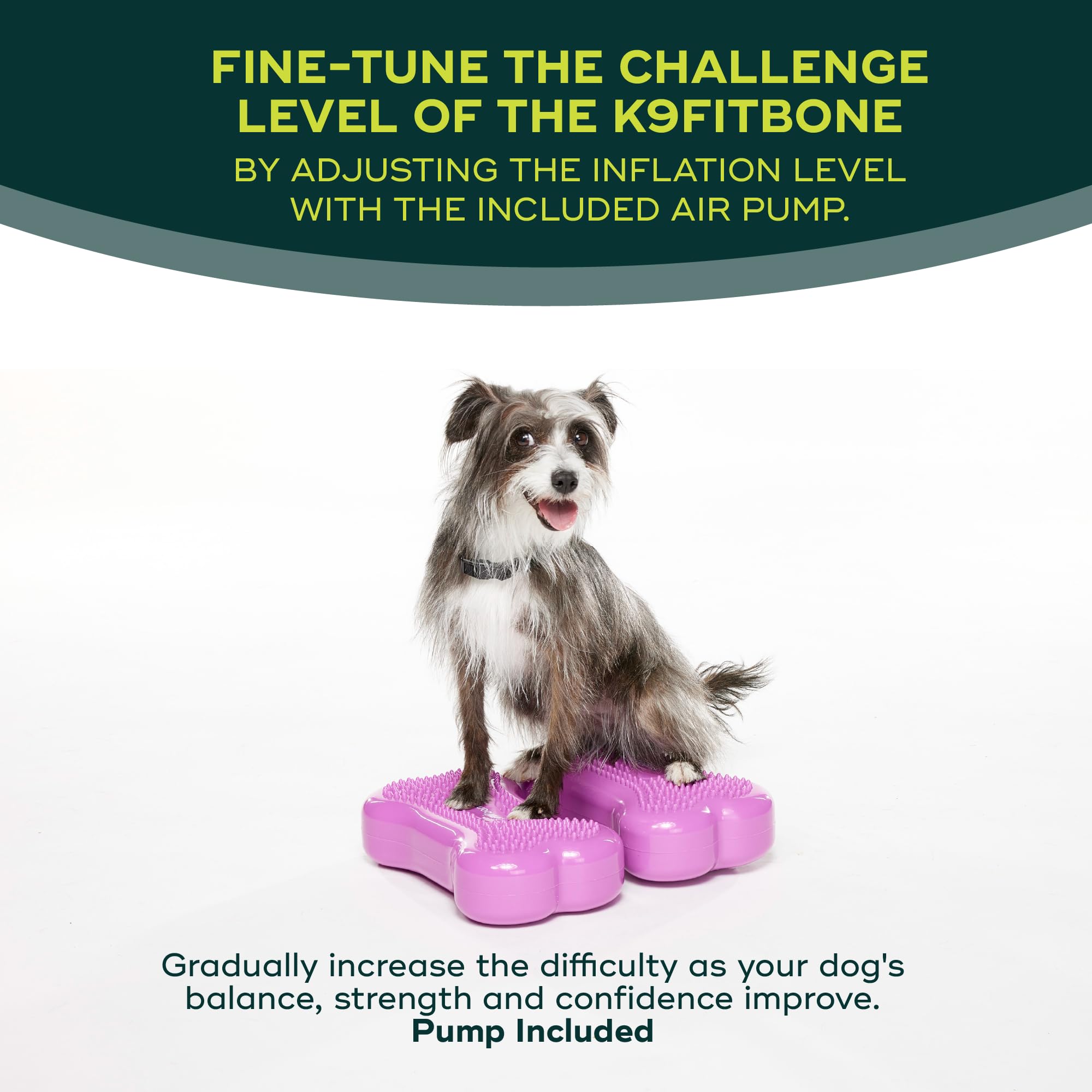FitPAWS K9FITbone Mini Dog Balance Training Platform - Set of 2, Razzleberry | Canine Exercise Equipment for Strength, Core & Stability Training | Perfect for Home Workouts, Rehabilitation & Agility Training