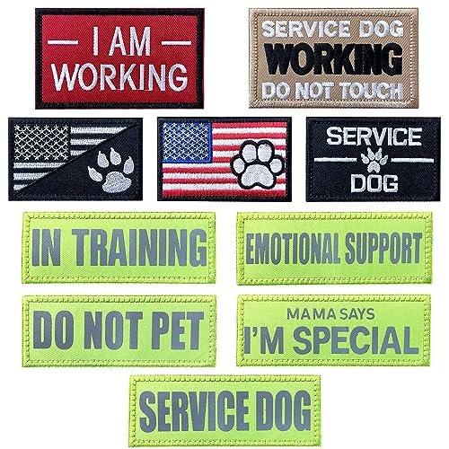 1.Service Dog, Green