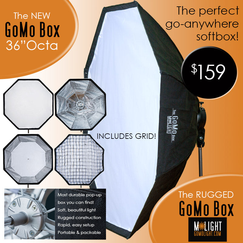GoMo Box 36 Octa - Premium Storage Solution for Home & Office Organization | Perfect for Documents, Toys, and Craft Supplies