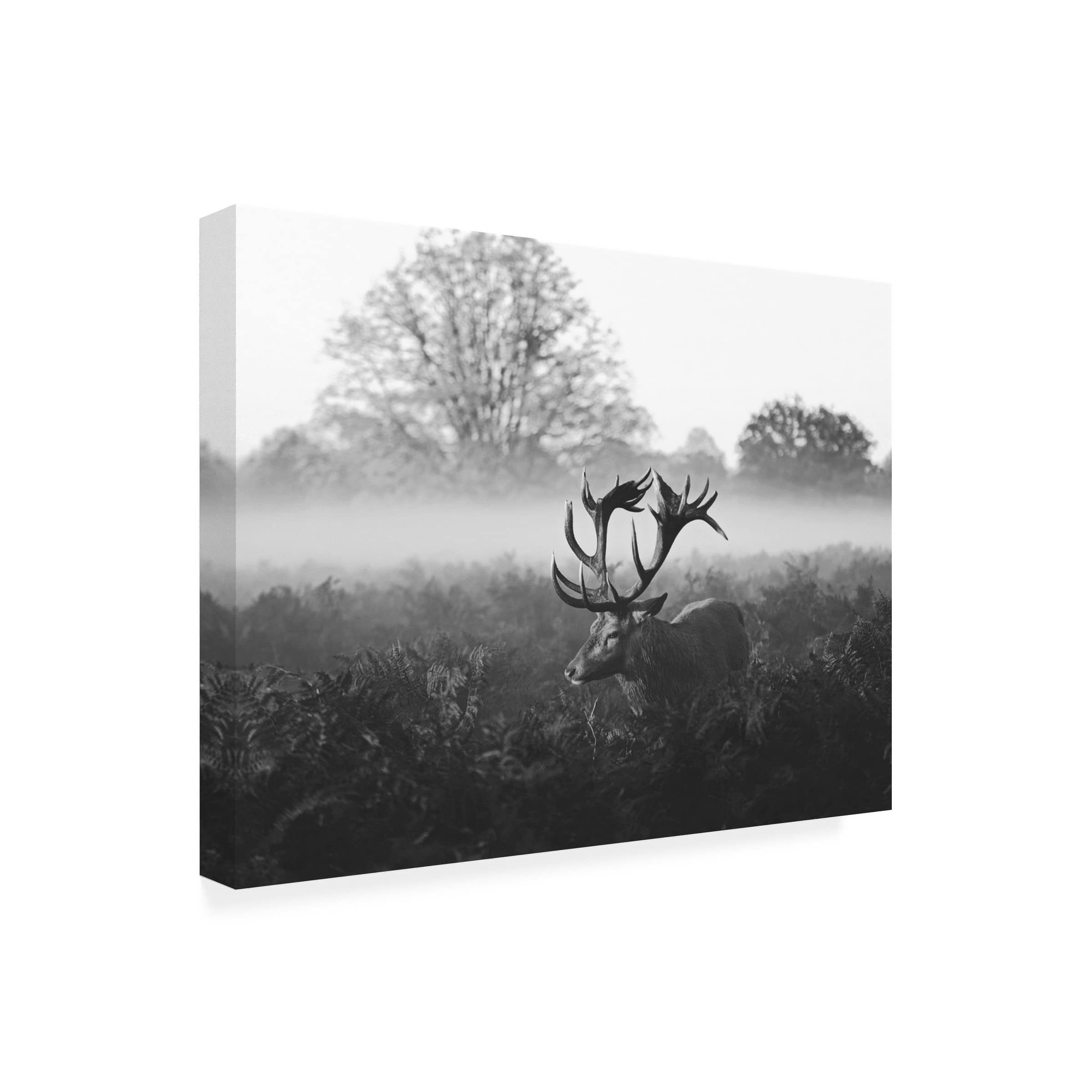 Robert Fabrowski 'Elk Stare' Canvas Wall Art Print - Wildlife Nature Decor for Living Room, Bedroom & Office - Trademark Fine Art Collection