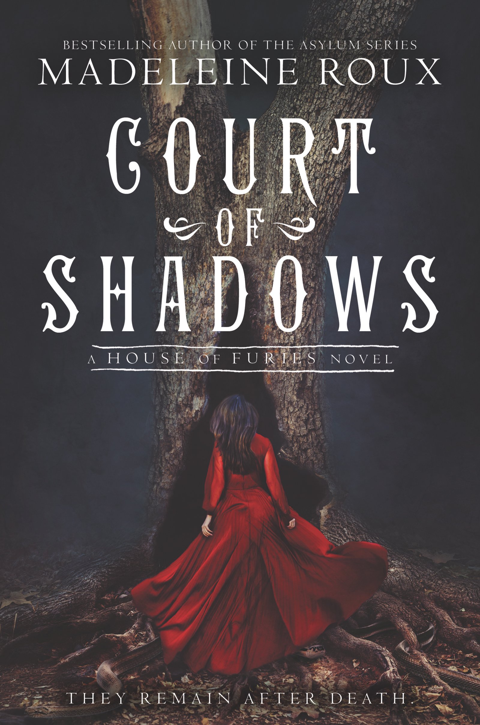 Court of Shadows (House of Furies Book 2) - Dark Fantasy Novel for Teens | Perfect for Gothic Horror Lovers & YA Fiction Readers