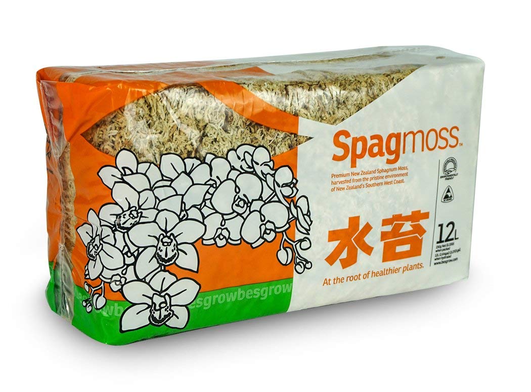 Premium New Zealand Sphagnum Moss - 150g (12L) for Orchids, Bonsai & Flower Arrangements | Natural Moisture Retention for Indoor & Outdoor Plants | Perfect for Terrariums, Floral Displays & Gardening