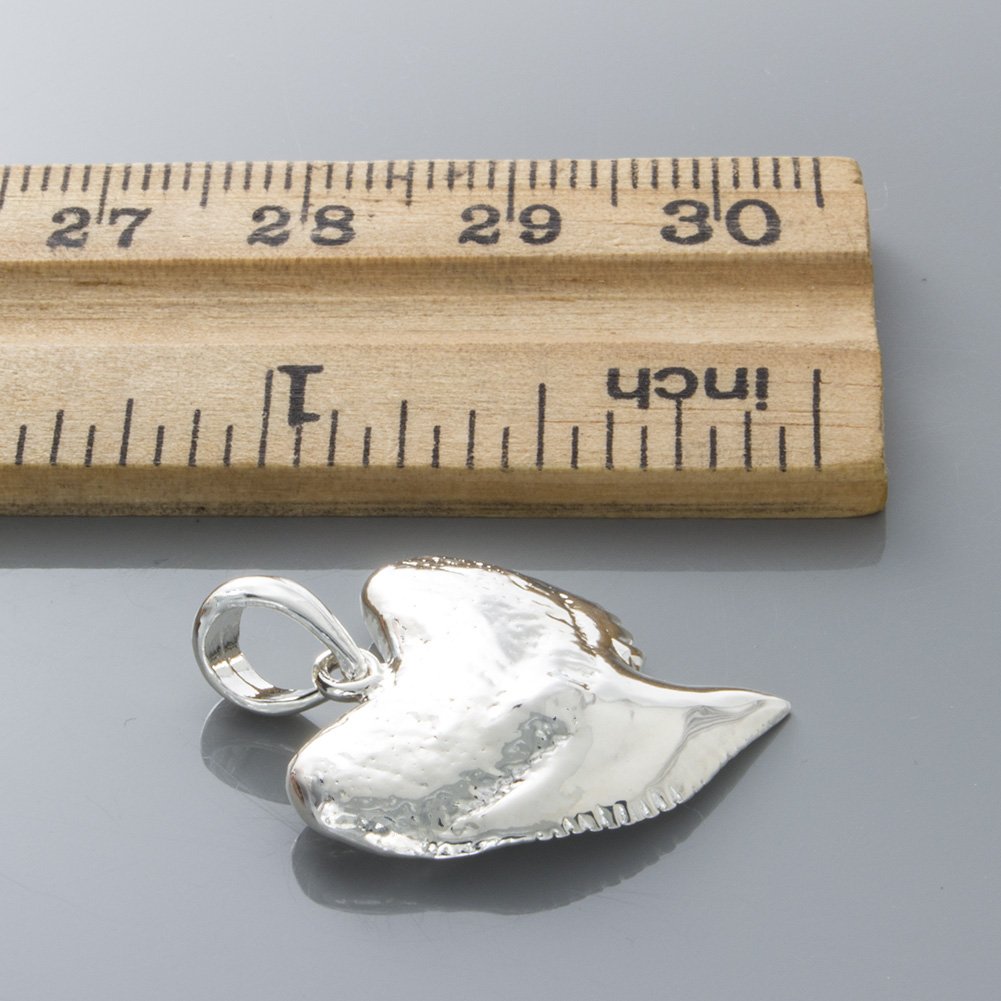 925 Silver Shark Tooth Necklace Pendant with Chain - Beach & Nautical Jewelry