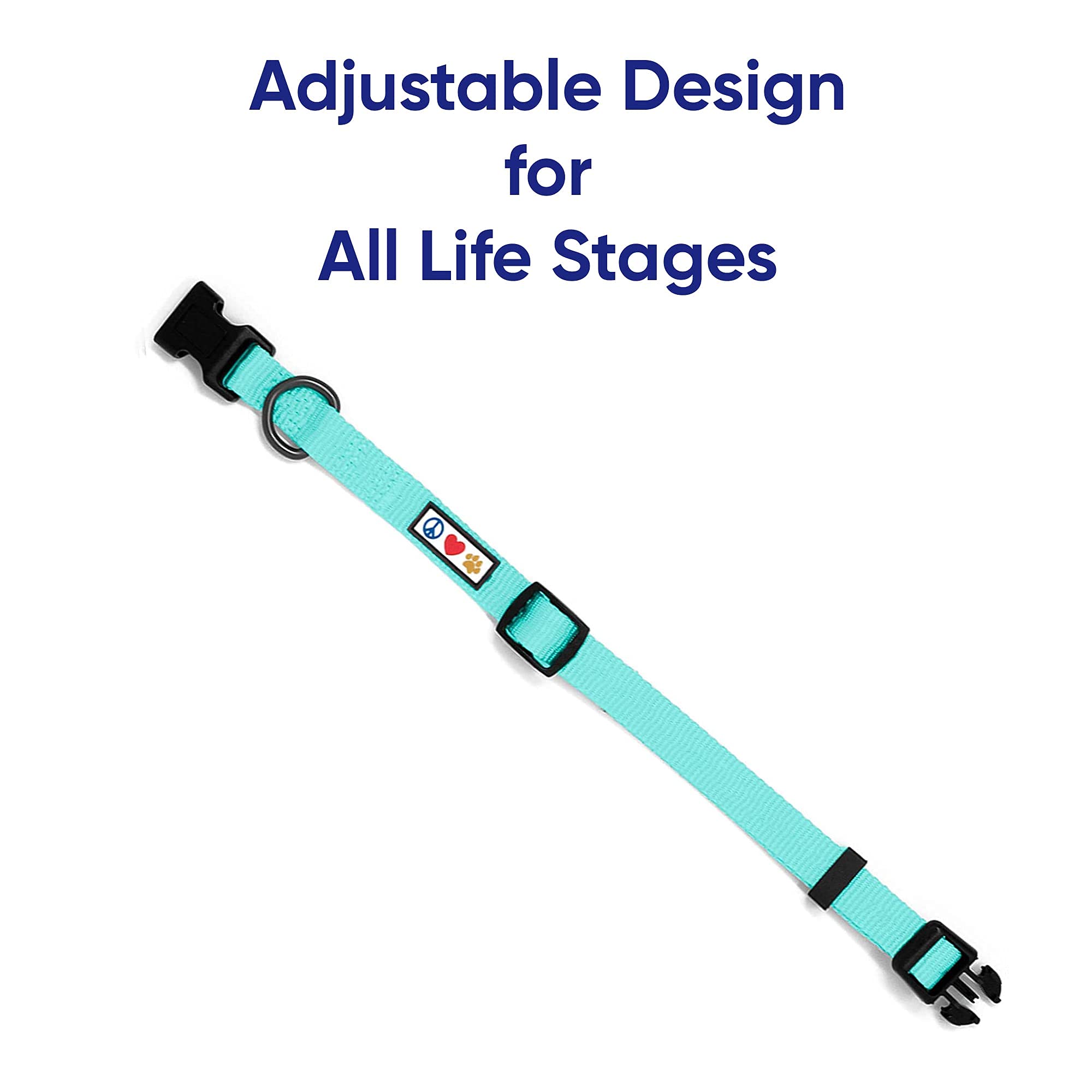 **Pawtitas Small Dog Harness, Collar & Leash Set - Teal | Adjustable Step-in Harness, Soft Nylon Collar & 6ft Leash for Small Dogs | Perfect for Walking, Training & Outdoor Adventures**