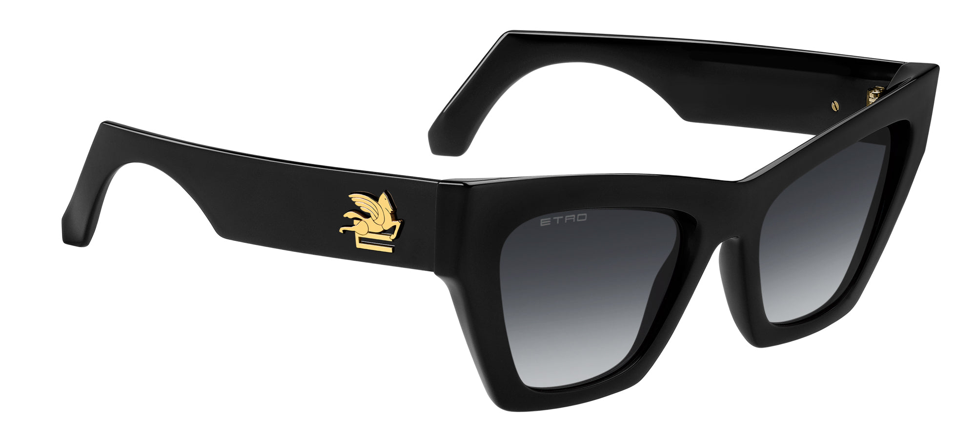 Etro 0050 S - Stylish Italian Designer Sunglasses for Men & Women | UV Protection & Polarized Lenses | Perfect for Driving, Travel & Outdoor Activities