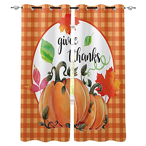 Thanksgiving Daytrr5235