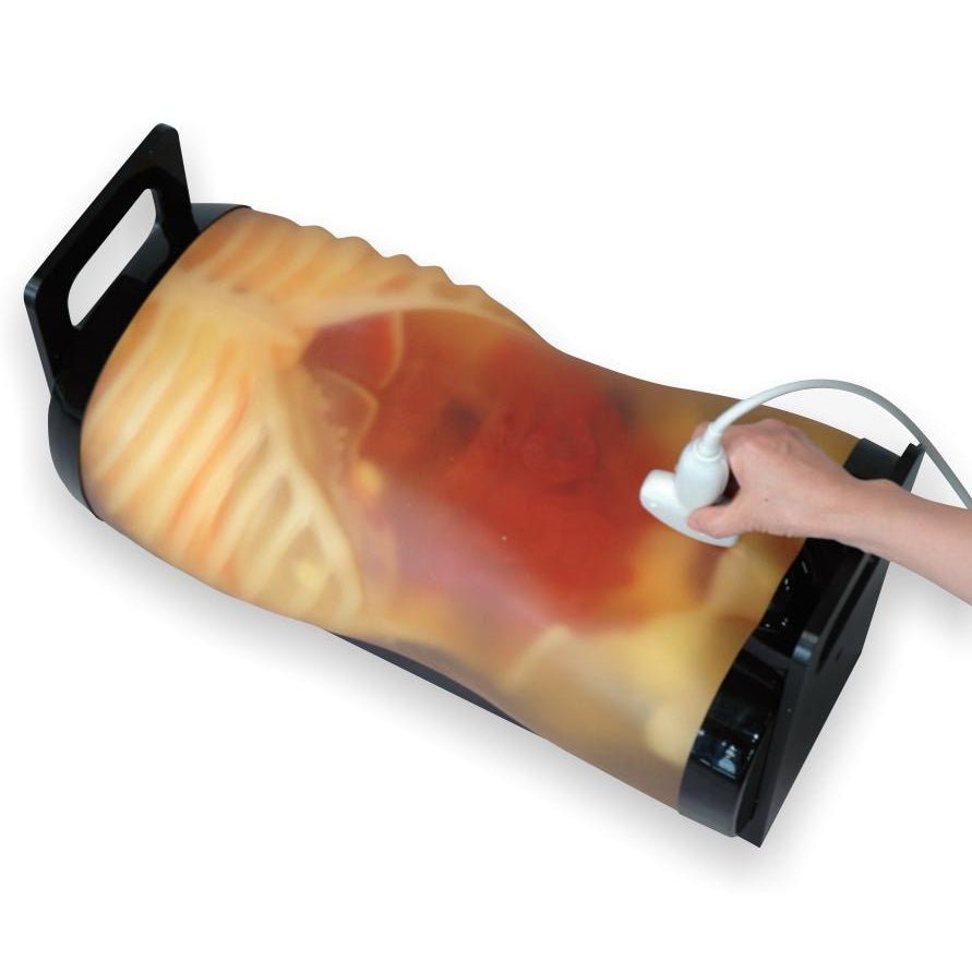 Fast Acute Abdomen Phantom - High-Quality FAST ER FAN Ultrasound Training Model for Trauma Sonography | Ideal for Medical Simulation, Emergency Room Training & Diagnostic Practice