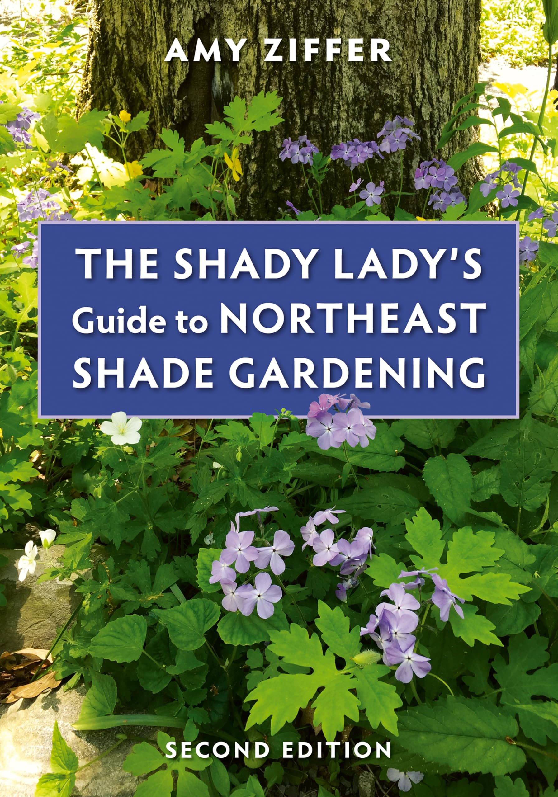 The Ultimate Guide to Northeast Shade Gardening - Best Plants & Tips for Low-Light Gardens | Perfect for Patios, Woodland Areas & Urban Balconies