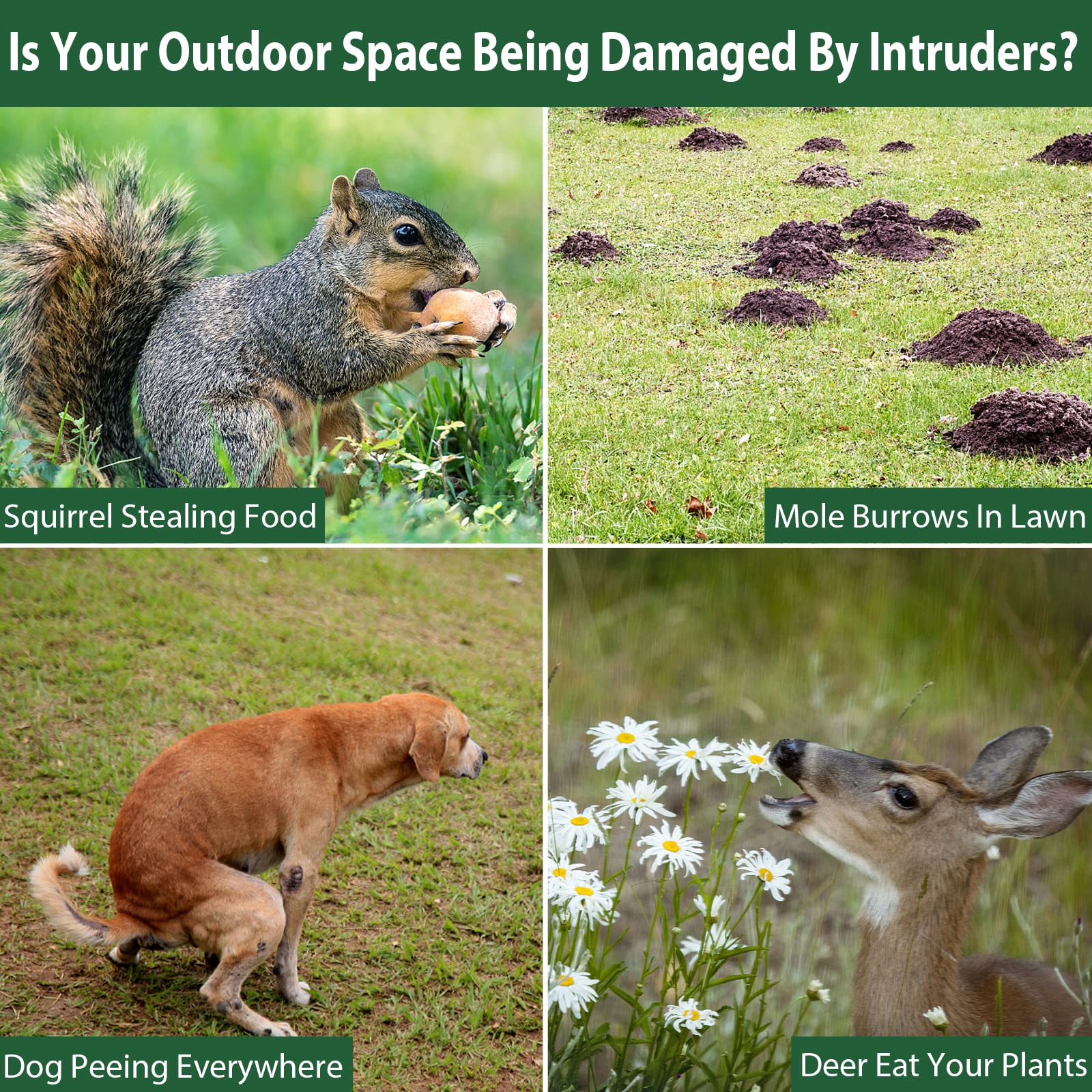 Solar Powered Ultrasonic Animal Repeller Outdoor - Motion Activated Pest Control Device with LED Flashing Lights to Deter Cats, Dogs, Deer, Birds, Squirrels & Raccoons | Ideal for Gardens, Yards, Farms & Patios