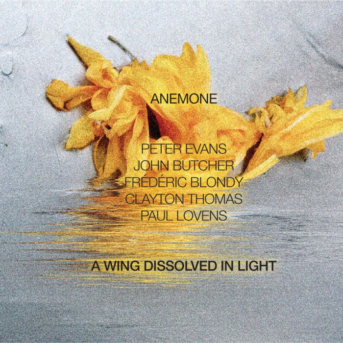 Anemone – A Wing Dissolved In Light (NM/VG+) Vinyl Record | Indie Rock Music Album | Perfect for Record Collectors & Music Enthusiasts