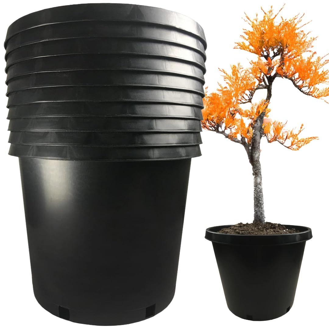 10-Pack 15 Gallon Heavy Duty Black Plastic Plant Pots - Nursery Containers & Garden Planters for Trees, Shrubs & Outdoor Plants by Arcadia Intl - Perfect for Landscaping, Gardening & Commercial Nursery Use