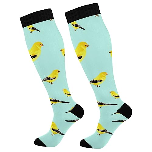 Goldfinch