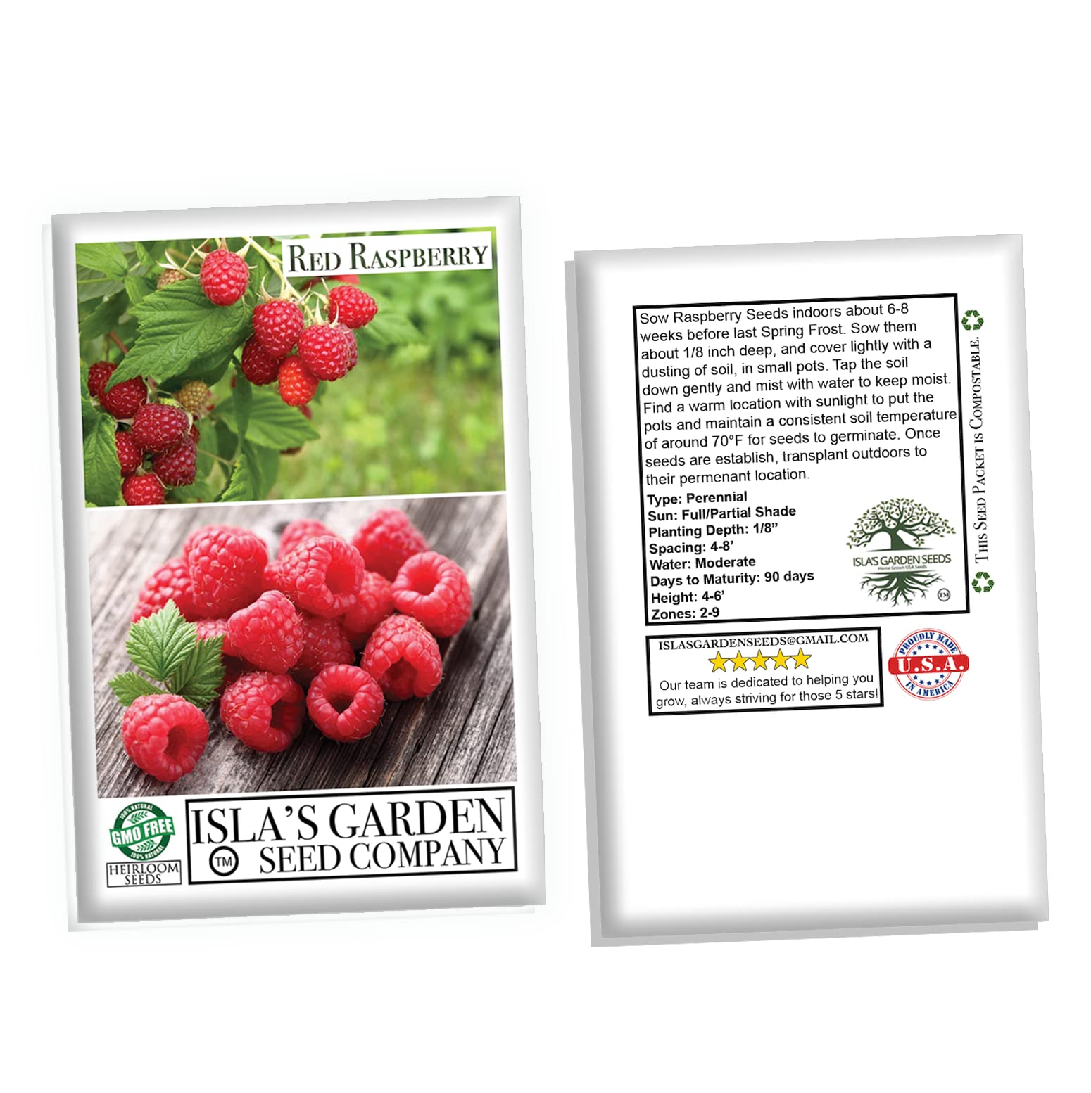 100 Heirloom Red Raspberry Seeds (Rubus idaeus) - Non-GMO European Raspberry Framboise for Home Garden Planting - Perfect for Jams, Baking & Fresh Eating
