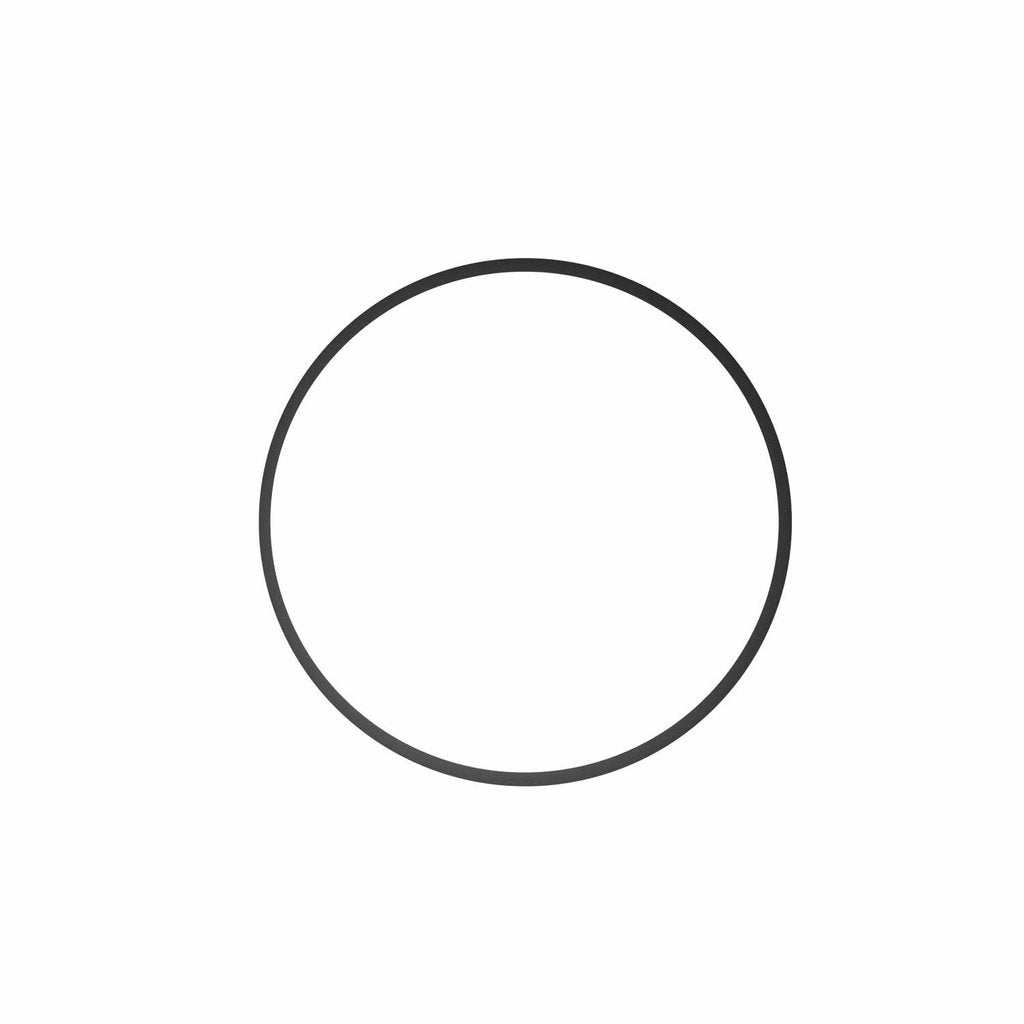 Ikelite O-Ring 0124 Replacement Seal for C-Light 8 Underwater Camera Housing – Waterproof Diving & Snorkeling Accessory