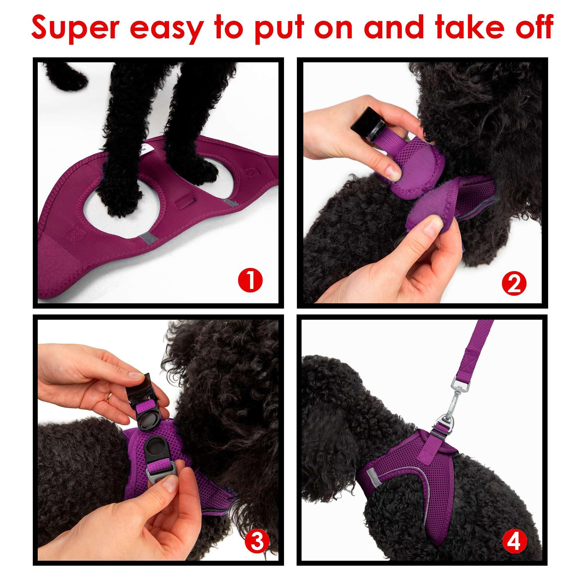 Tailpetz XS No Pull Dog Harness - Adjustable Step-in Reflective Puppy Vest for Small Dogs (Purple) - Perfect for Training, Walking & Outdoor Adventures