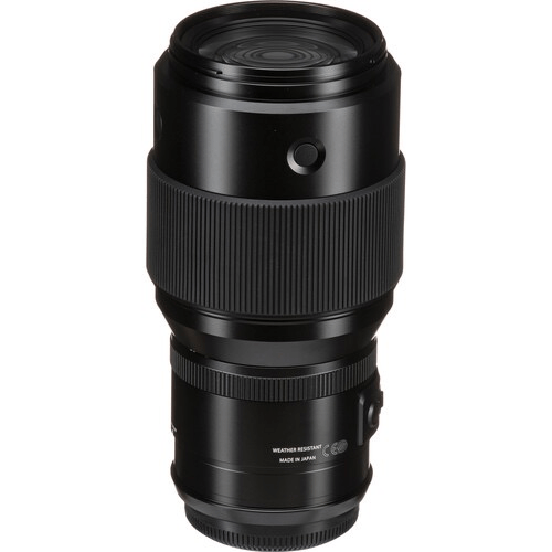 FUJIFILM GF 250mm f/4 R LM OIS WR GFX Medium Format Telephoto Lens - Professional Portrait & Wildlife Photography for GFX Mirrorless Cameras