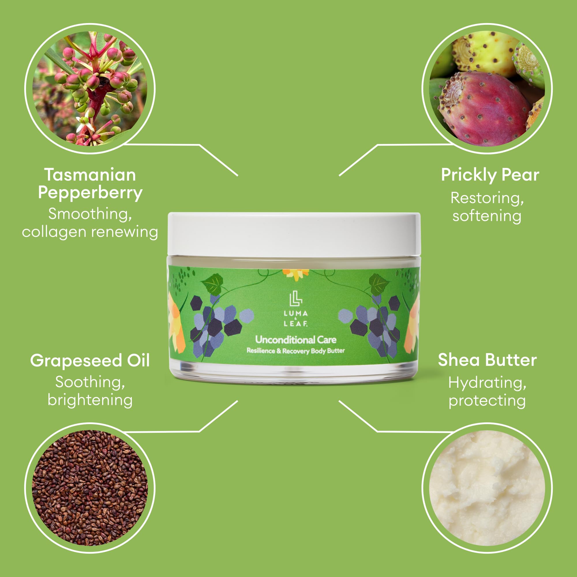 LUMA & LEAF Pregnancy Stretch Mark Cream - Organic Tasmanian Pepperberry Body Butter for Women - Hydrating Shea Butter Moisturizer - Belly Butter for Expecting Moms - Perfect for Pre & Post Pregnancy Care & Dry Skin Relief