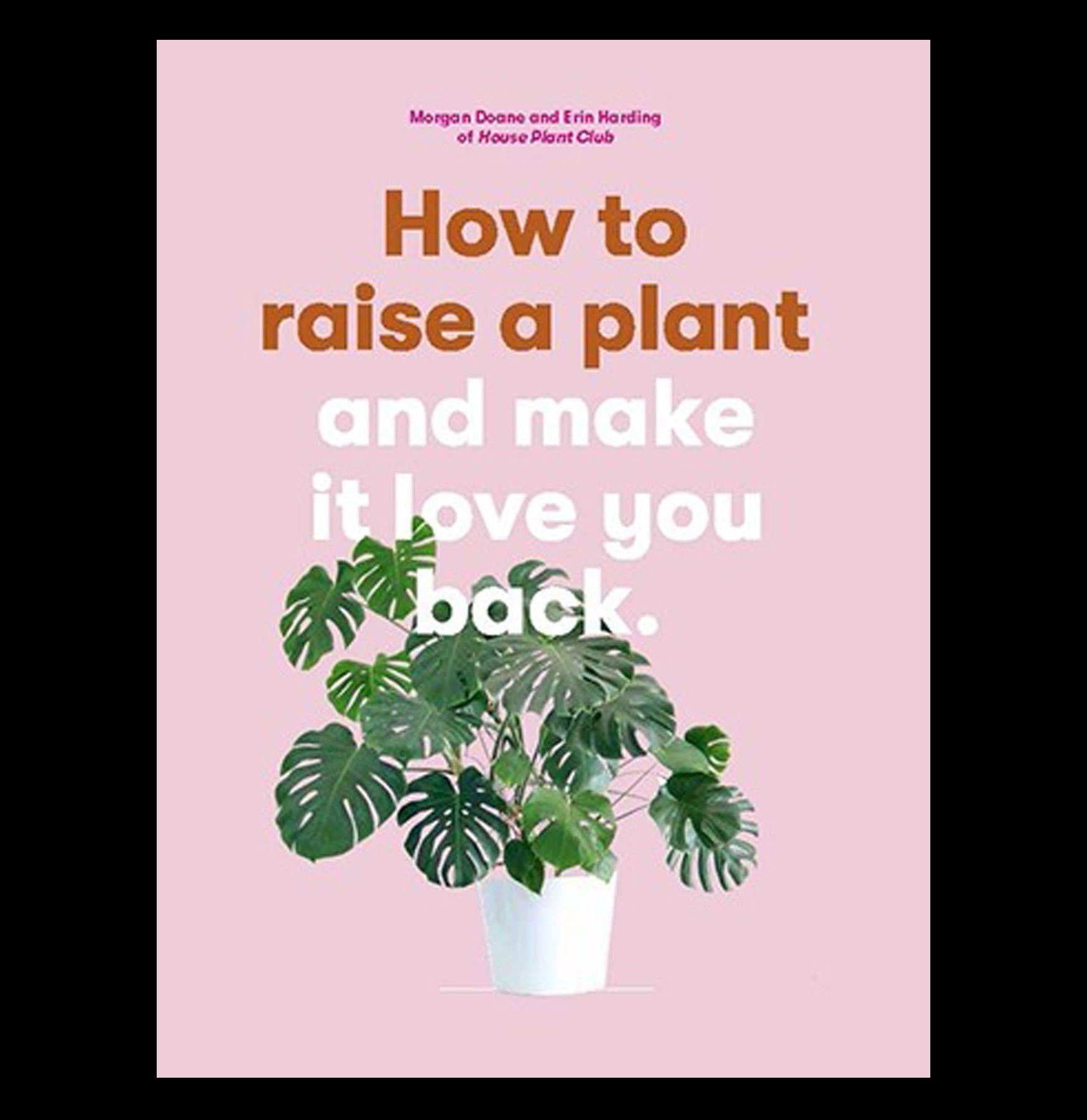 Ultimate Guide on How to Raise a Plant - Essential Tips for Indoor & Outdoor Gardening | Perfect for Home, Office & Gift Giving