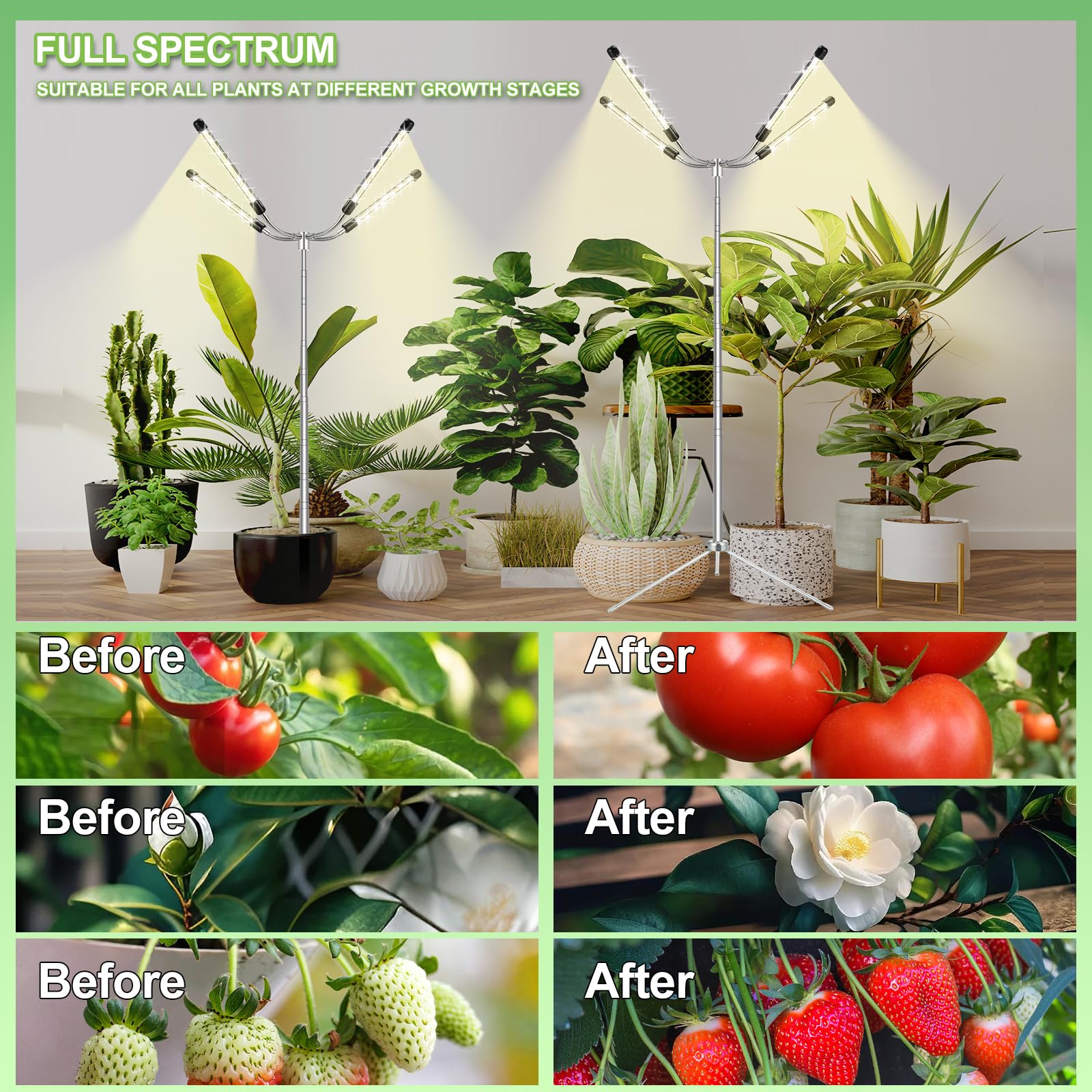 Full Spectrum LED Grow Lights for Indoor Plants - Adjustable Height 10-55
