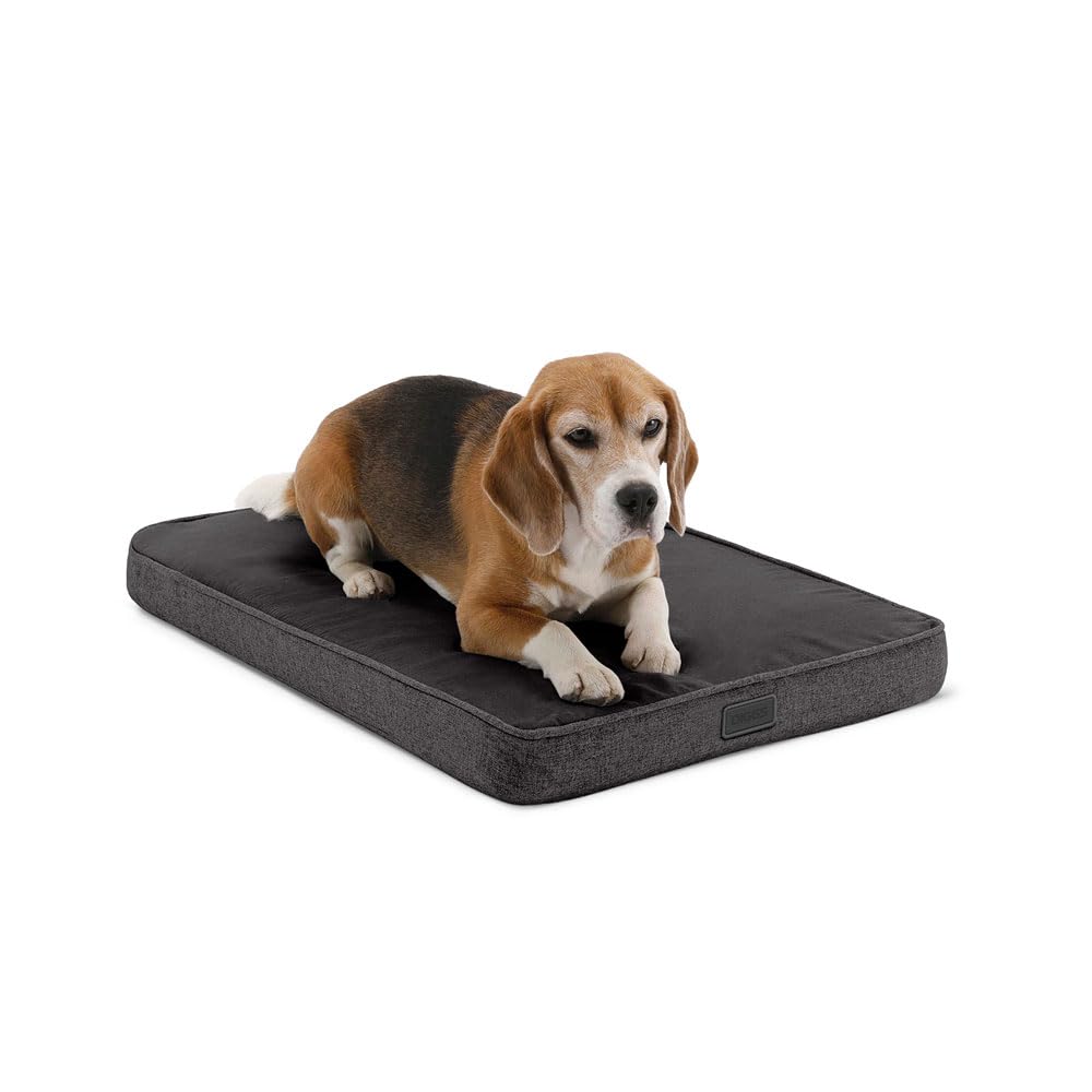 Diggs Snooz Memory Foam Orthopedic Dog Bed - Medium Size Dark Grey Crate Pad for Large Dogs - Premium Comfort Pet Bed for Home, Travel & Crate Use - Ideal for Senior Dogs & Joint Pain Relief