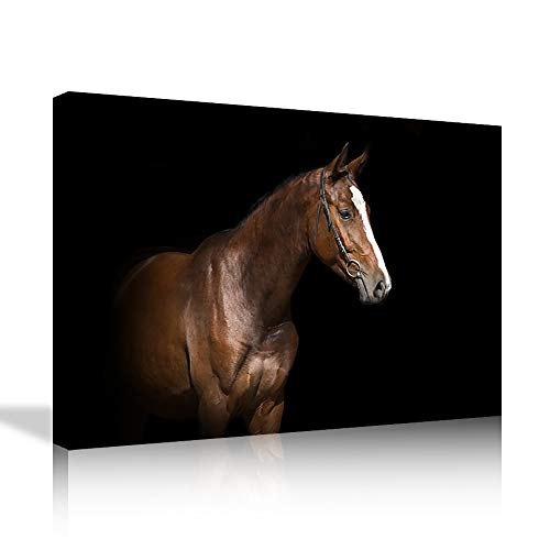 Animal wall art 06