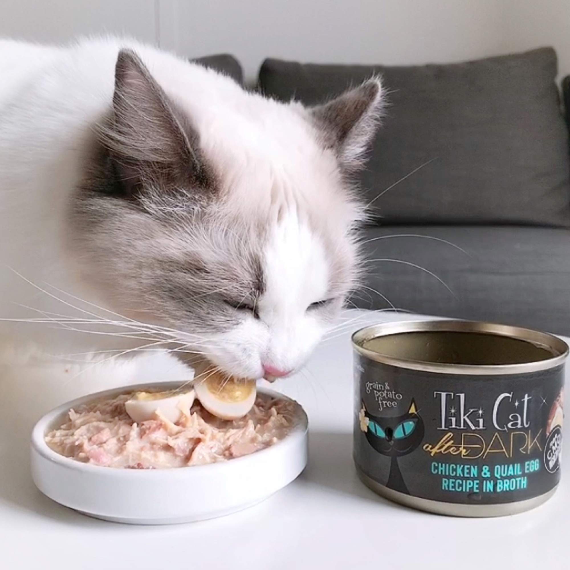Tiki Cat Wet Cat Food - High Protein Chicken Recipe, Whole Food Variety Pack (36 Servings, 2.8oz Cans) - Grain-Free, Natural Ingredients for Adult Cats - Perfect for Mealtime, Travel & Multi-Cat Households