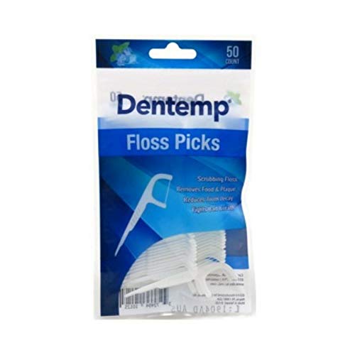 Disposable Mint Floss Picks - 40 Count (Pack of 8) | Oral Hygiene Dental Care for Travel & On-the-Go Fresh Breath