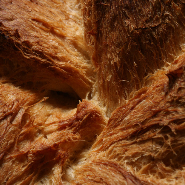 True Bread by Joaquín Llarás - Authentic Artisan Sourdough Bread Mix | Perfect for Home Baking, Gifts & Healthy Breakfast (English/Spanish)