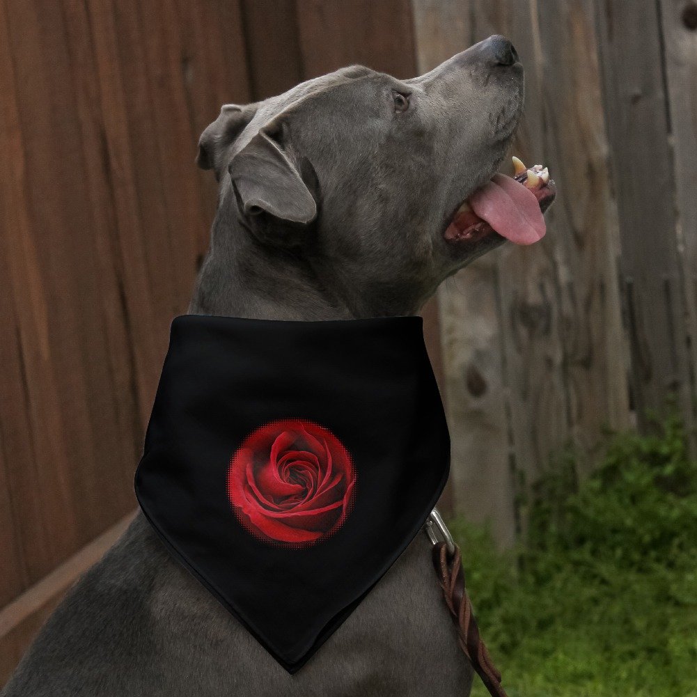 Red Rose Close-up Dog Bandana - Soft & Stylish Pet Accessory for Small & Medium Dogs - Perfect for Photo Shoots, Walks & Special Occasions