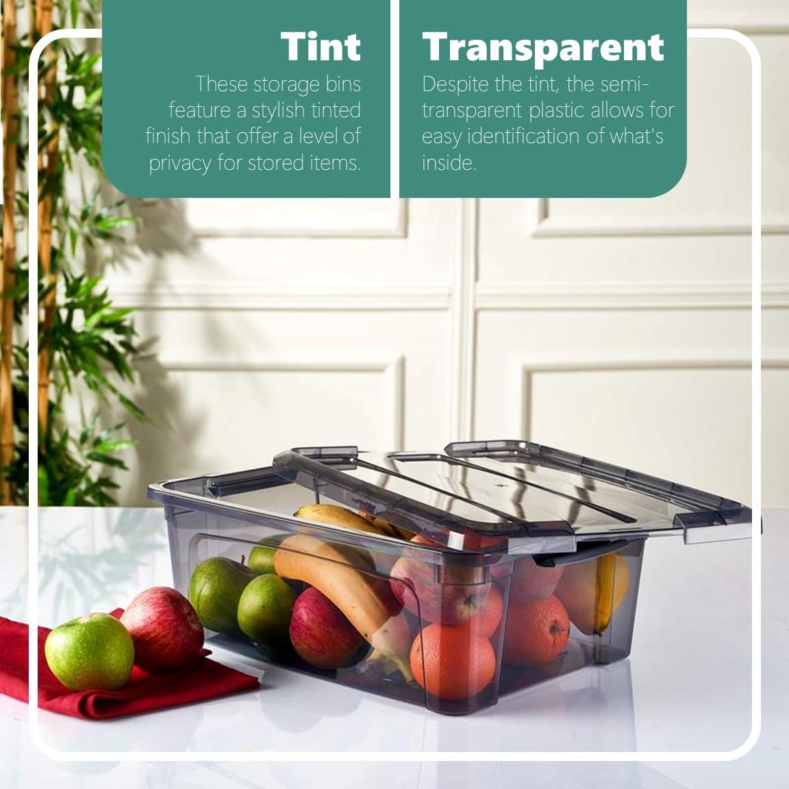 Tribello 12.5 Quart Plastic Storage Bins with Latching Lids - Set of 2 (15.5