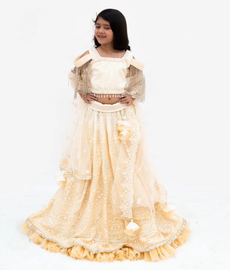 Pre Order: Beige Ombre Lehenga Choli Set for Women – Indian Wedding Outfit, Festive Ethnic Dress for Bridal, Sangeet & Cultural Events