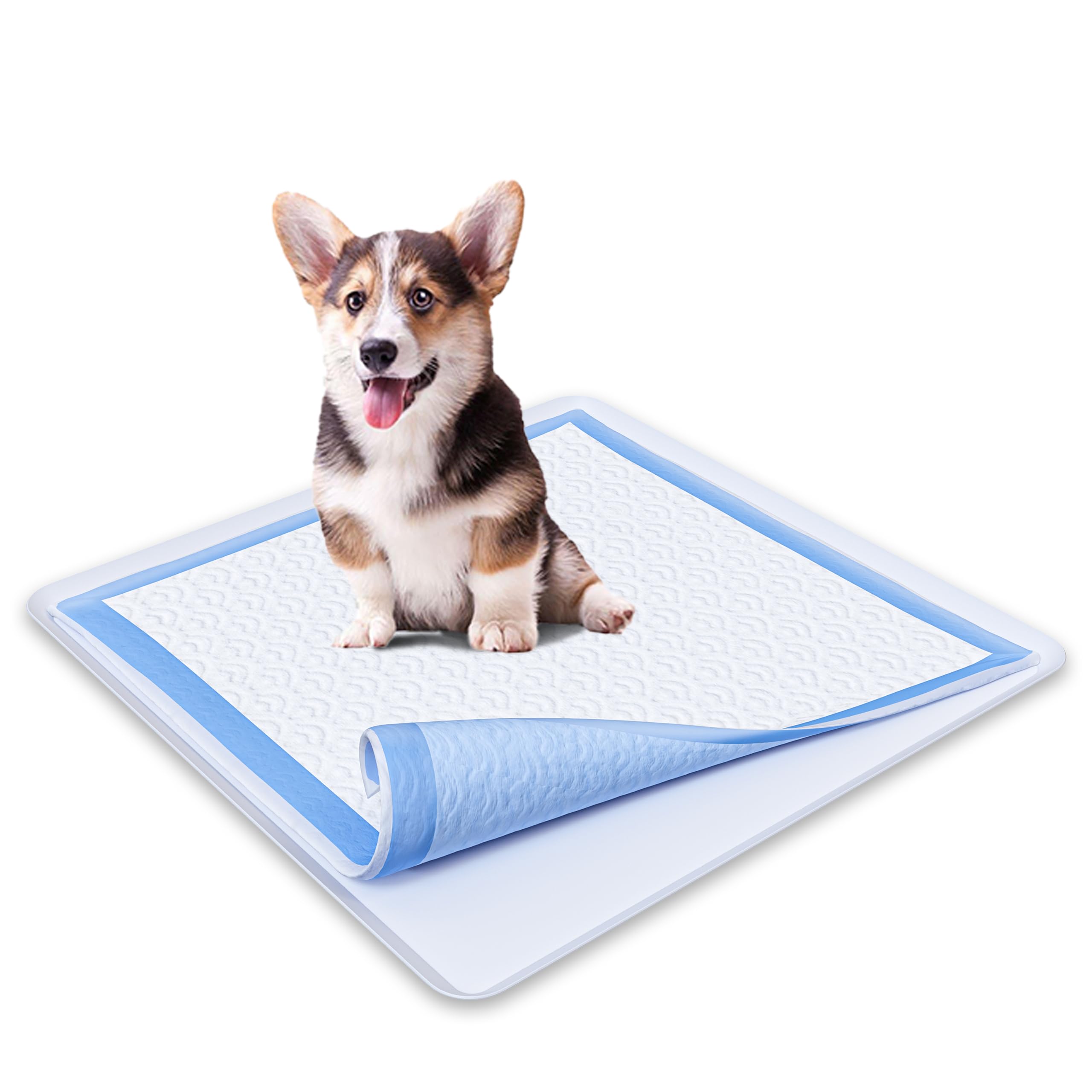 TidyFriend 24x24 Inch Silicone Dog Potty Tray - No Spill Pee Pad Holder for Puppy Training | Easy to Clean, Durable & Leak-Proof | Perfect for Indoor Dog Potty Training, Crate Use & Small Breed Dogs (Grey)