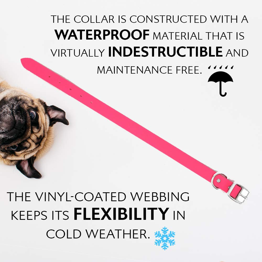 Regal Dog Products Small Pink Waterproof Dog Collar and Leash Set - Heavy Duty Double Buckle & D Ring | 5ft Chew Resistant Biothane Leash | Adjustable Waterproof Dog Collar for Small Dogs | Perfect for Walking, Training & Outdoor Adventures