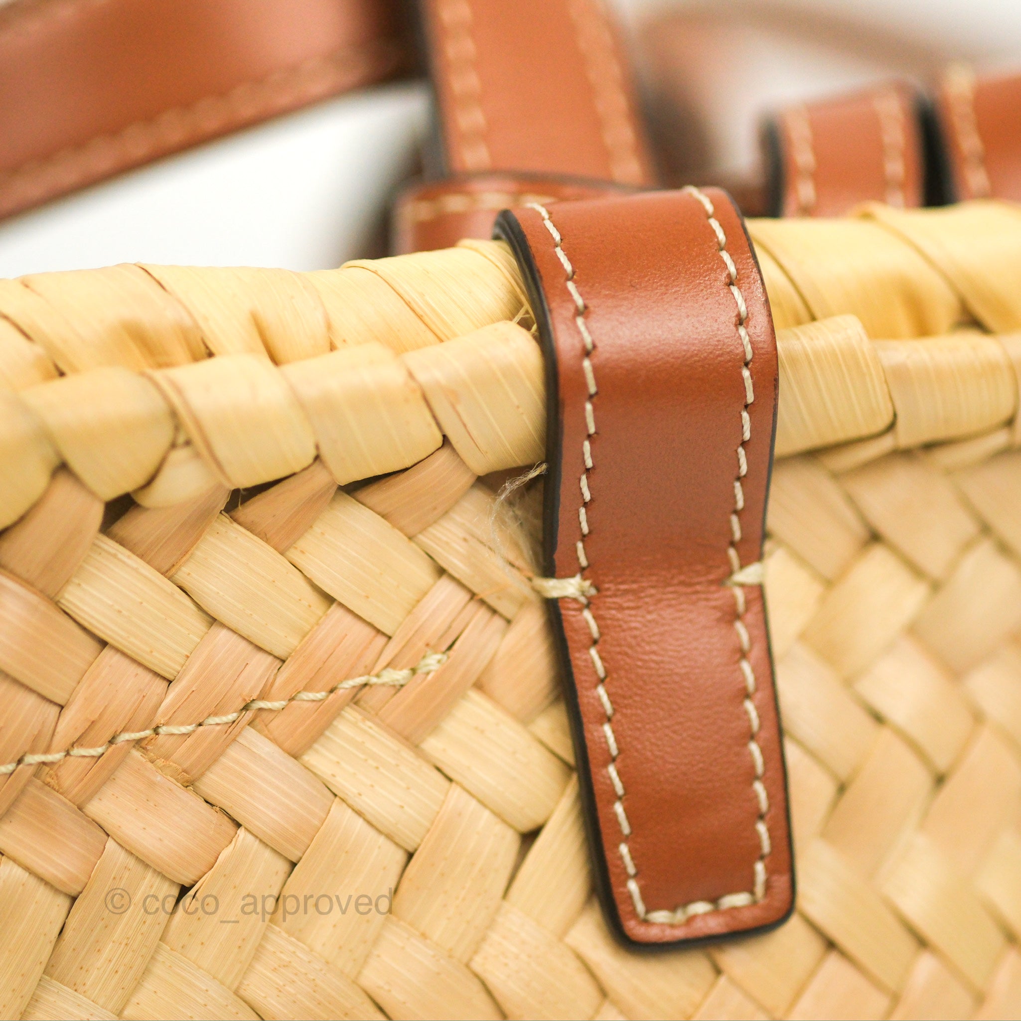 Celine Nano Triomphe Bag in Palm Leaves Calfskin Tan - Luxury Crossbody Purse for Women, Perfect for Everyday Use & Special Occasions