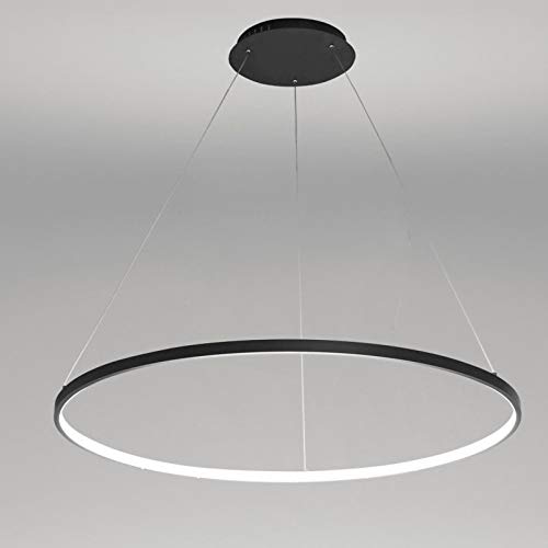 Black+WhiteLight