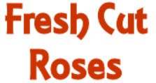 Fresh Cut Roses