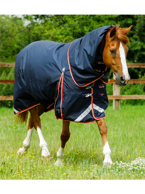 Premier Equine Buster 100g Turnout Rug with Neck Cover - Waterproof & Breathable Horse Blanket for Winter Turnout & Stable Use
